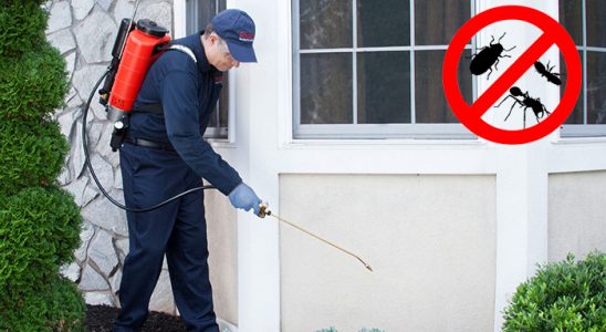 Çaybaşı Karınca İlaçlama böcek ilaçlama ve haşere kontrolü — ilaclama-tr.com